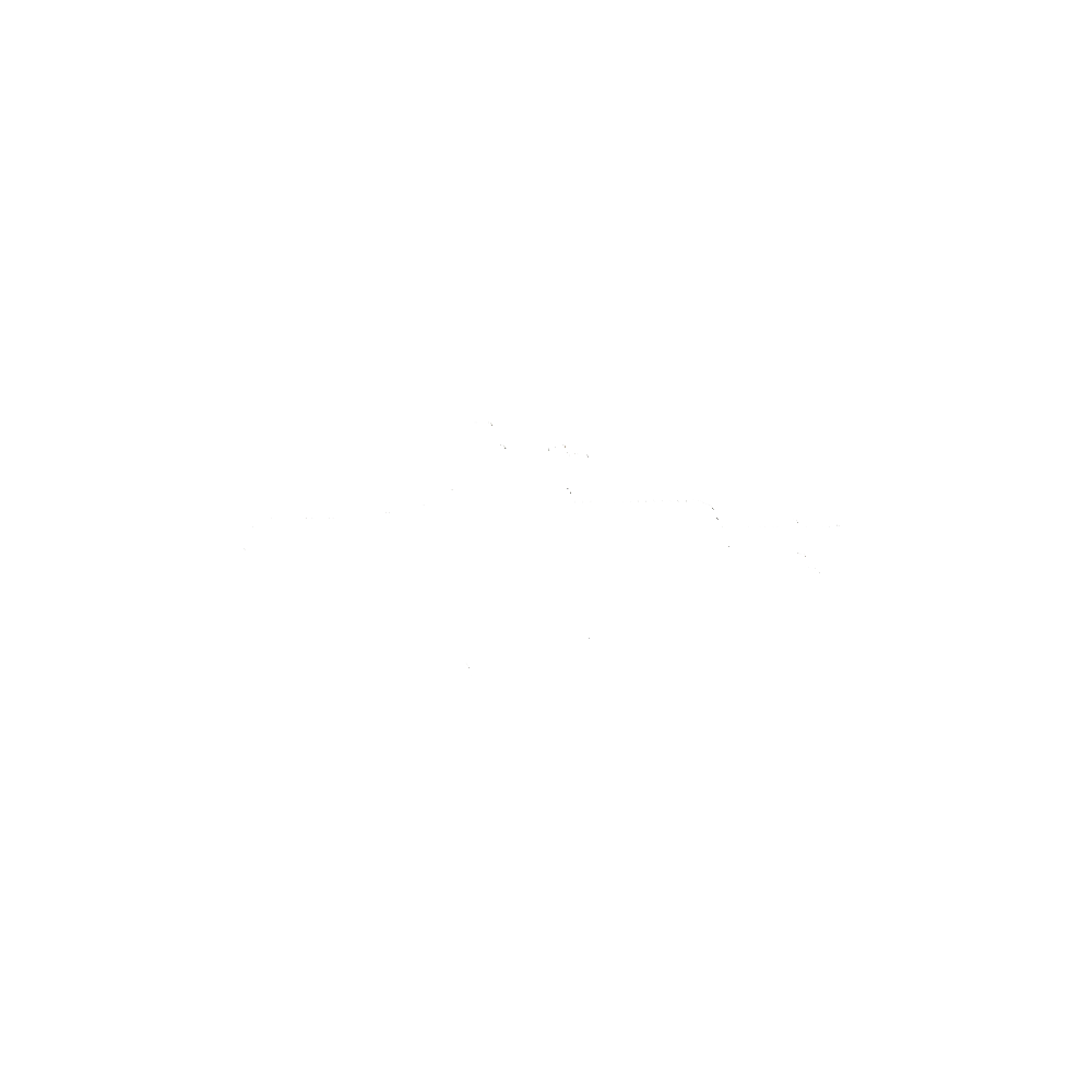 Admin Top Up